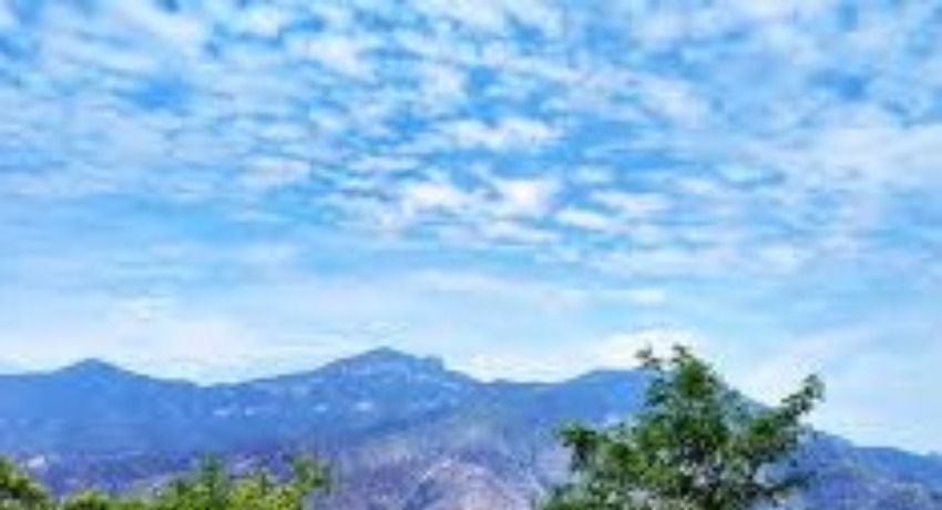短剧投研交流区 - 爱情岛论坛 - 热门短剧案例深度拆解与玩法分享专区