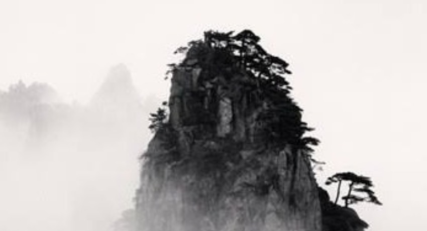 海外内容译制区 - 爱情岛论坛 - 海外短视频影视内容本土化译制交流区